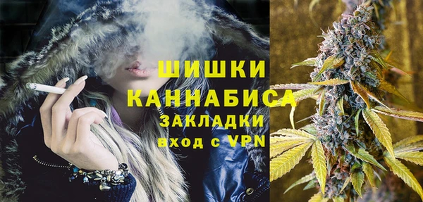 гидропоника Медногорск