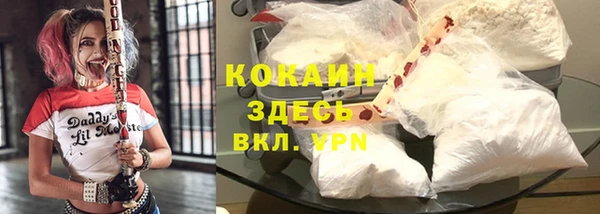 гидропоника Медногорск