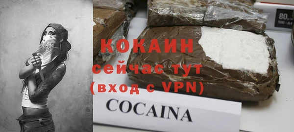 хмурый Мегион