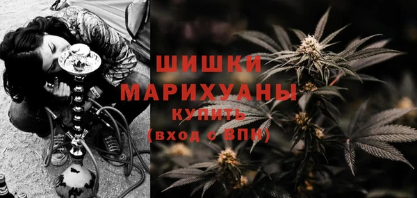 хмурый Мегион