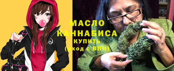 гидропоника Медногорск
