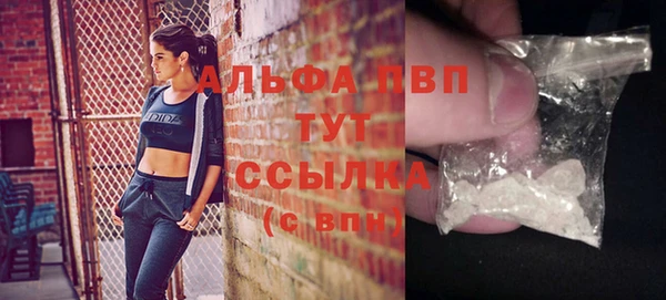 apvp Гусиноозёрск