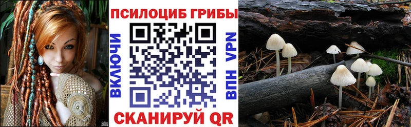 hydra как зайти Завитинск Псилоцибиновые грибы прущие грибы